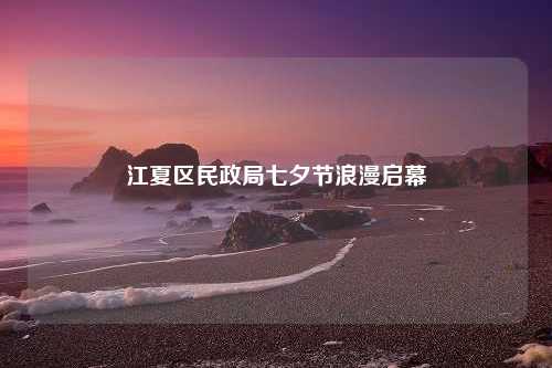 江夏区民政局七夕节浪漫启幕