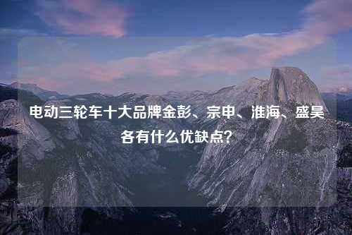 电动三轮车十大品牌金彭、宗申、淮海、盛昊各有什么优缺点？