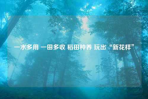 一水多用 一田多收 稻田种养 玩出“新花样”