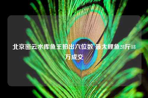 北京密云水库鱼王拍出六位数 最大鲤鱼28斤18万成交