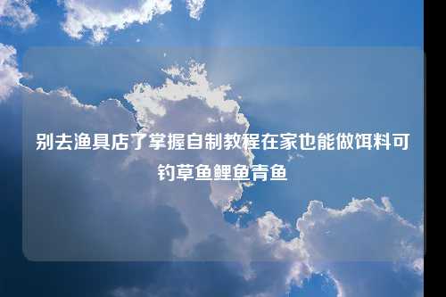 别去渔具店了掌握自制教程在家也能做饵料可钓草鱼鲤鱼青鱼