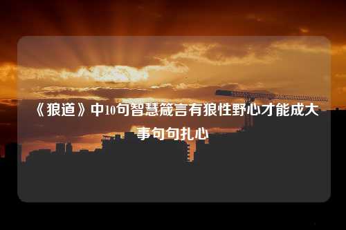 《狼道》中10句智慧箴言有狼性野心才能成大事句句扎心