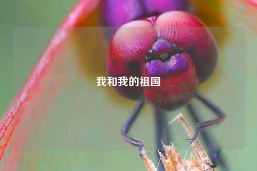 我和我的祖国