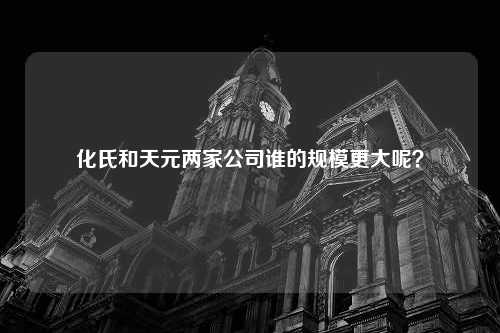 化氏和天元两家公司谁的规模更大呢？