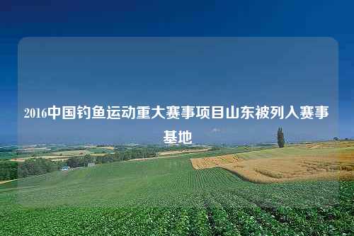 2016中国钓鱼运动重大赛事项目山东被列入赛事基地