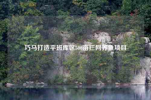 巧马打造平班库区500亩拦网养鱼项目