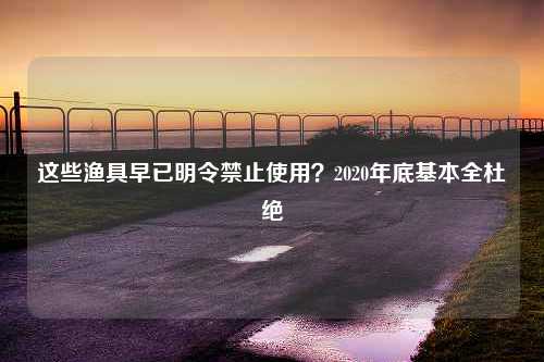 这些渔具早已明令禁止使用？2020年底基本全杜绝