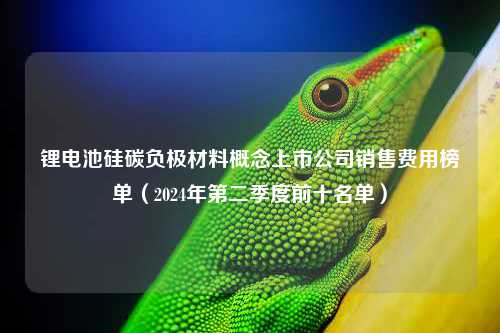 锂电池硅碳负极材料概念上市公司销售费用榜单（2024年第二季度前十名单）