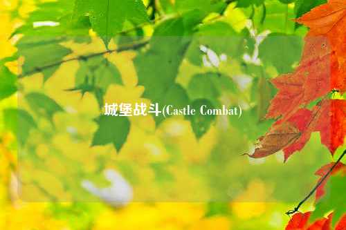 城堡战斗(Castle Combat)