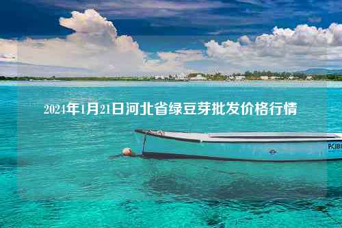 2024年1月21日河北省绿豆芽批发价格行情