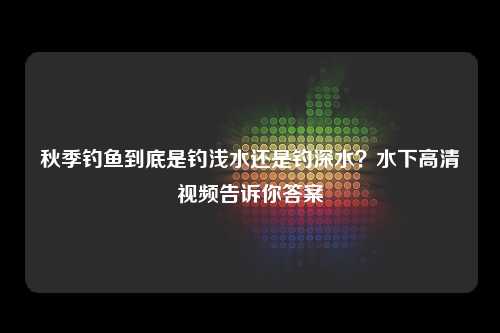 秋季钓鱼到底是钓浅水还是钓深水？水下高清视频告诉你答案