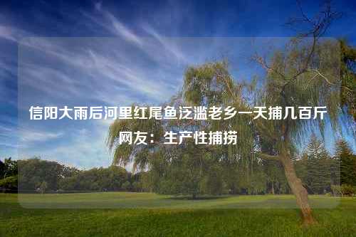 信阳大雨后河里红尾鱼泛滥老乡一天捕几百斤网友：生产性捕捞