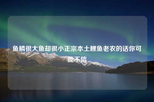 鱼鳞很大鱼却很小正宗本土鲤鱼老农的话你可能不信