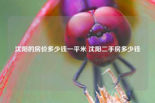 沈阳的房价多少钱一平米 沈阳二手房多少钱