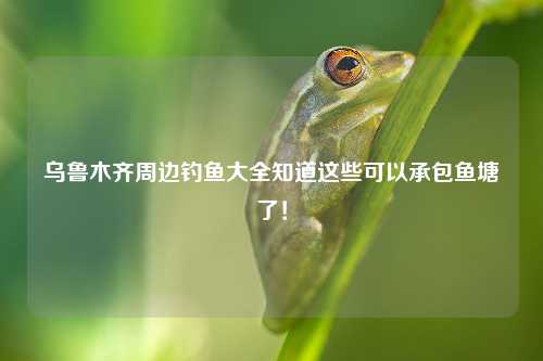 乌鲁木齐周边钓鱼大全知道这些可以承包鱼塘了！