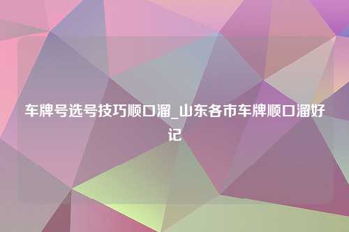 车牌号选号技巧顺口溜_山东各市车牌顺口溜好记