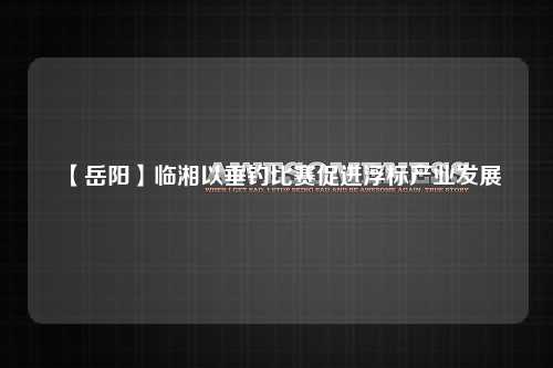 【岳阳】临湘以垂钓比赛促进浮标产业发展