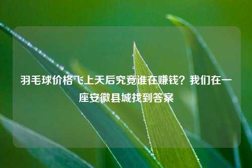 羽毛球价格飞上天后究竟谁在赚钱？我们在一座安徽县城找到答案