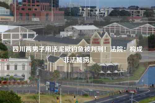 四川两男子用活泥鳅钓鱼被判刑！法院：构成非法捕捞！