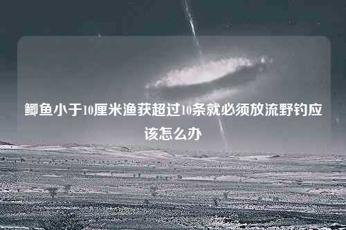 鲫鱼小于10厘米渔获超过10条就必须放流野钓应该怎么办