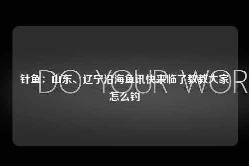 针鱼：山东、辽宁沿海鱼讯快来临了教教大家怎么钓