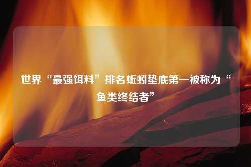 世界“最强饵料”排名蚯蚓垫底第一被称为“鱼类终结者”