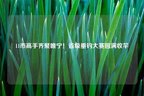 11市高手齐聚睢宁！省级垂钓大赛圆满收竿