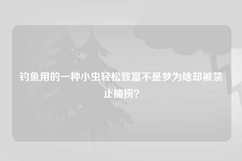 钓鱼用的一种小虫轻松致富不是梦为啥却被禁止捕捞？