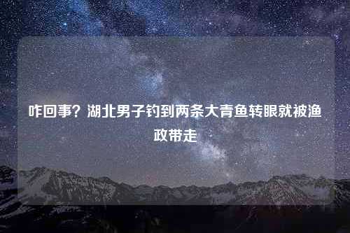 咋回事？湖北男子钓到两条大青鱼转眼就被渔政带走