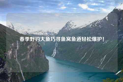 春季野钓大鱼巧寻鱼窝鱼道轻松爆护！