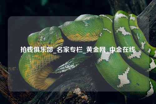 抢钱俱乐部_名家专栏_黄金网_中金在线