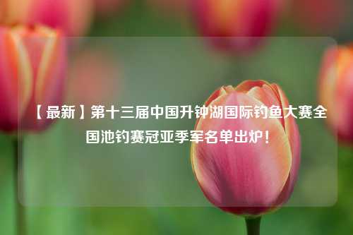 【最新】第十三届中国升钟湖国际钓鱼大赛全国池钓赛冠亚季军名单出炉！