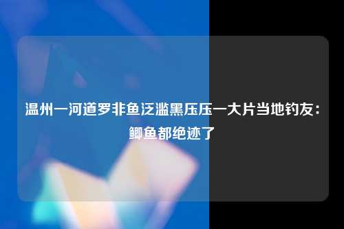 温州一河道罗非鱼泛滥黑压压一大片当地钓友：鲫鱼都绝迹了