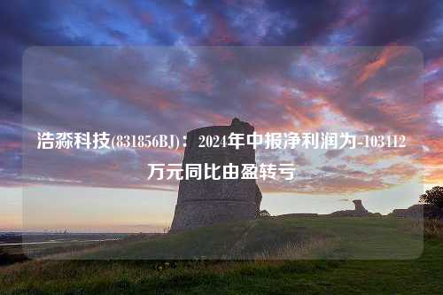 浩淼科技(831856BJ)：2024年中报净利润为-103412万元同比由盈转亏