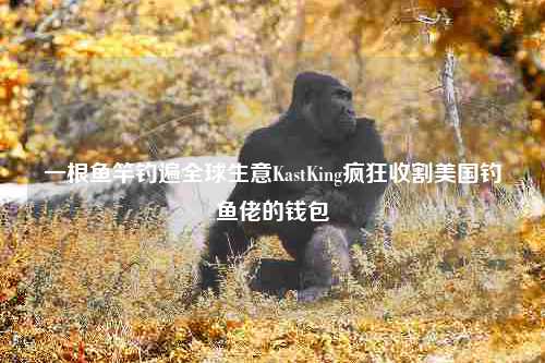 一根鱼竿钓遍全球生意KastKing疯狂收割美国钓鱼佬的钱包