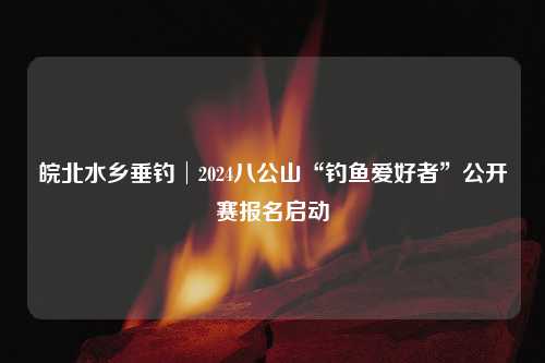 皖北水乡垂钓│2024八公山“钓鱼爱好者”公开赛报名启动