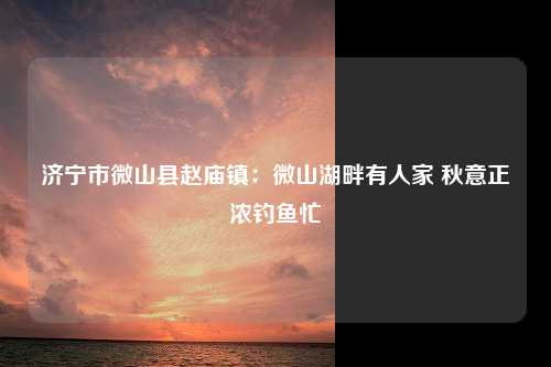 济宁市微山县赵庙镇：微山湖畔有人家 秋意正浓钓鱼忙