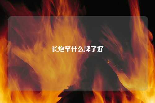 长炮竿什么牌子好