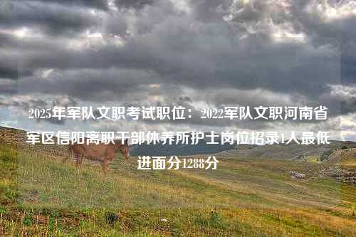 2025年军队文职考试职位：2022军队文职河南省军区信阳离职干部休养所护士岗位招录1人最低进面分1288分