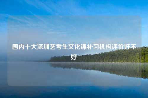 国内十大深圳艺考生文化课补习机构评价好不好