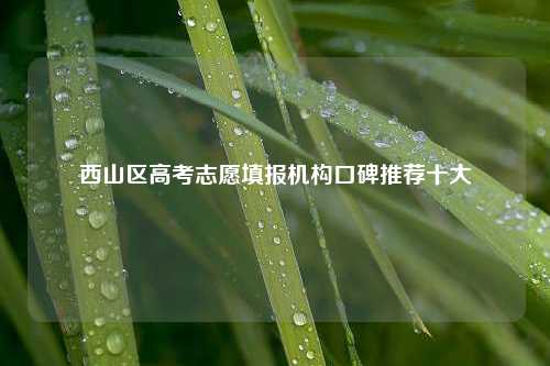 西山区高考志愿填报机构口碑推荐十大