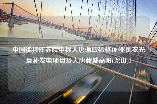 中国能建江苏院中标大唐蒲城椿林100兆瓦农光互补发电项目及大唐蒲城高阳(尧山)1