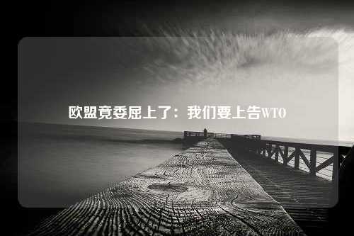 欧盟竟委屈上了：我们要上告WTO