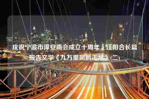 庆祝宁波市淳安商会成立十周年｜汪阳合长篇报告文学《九万里风鹏正举》(二)