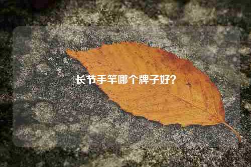 长节手竿哪个牌子好？