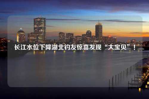 长江水位下降湖北钓友惊喜发现“大宝贝”！