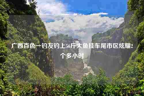 广西百色一钓友钓上56斤大鱼挂车尾市区炫耀2个多小时