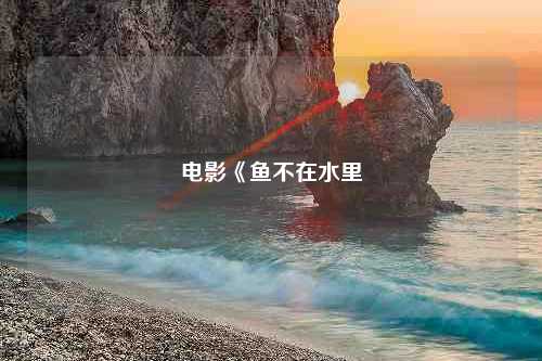 电影《鱼不在水里