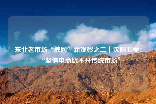 东北老市场“触网”新观察之二｜沈阳五爱：“坚信电商绕不开传统市场”