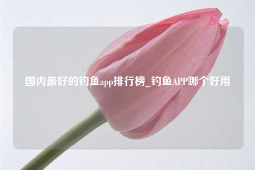 国内最好的钓鱼app排行榜_钓鱼APP哪个好用